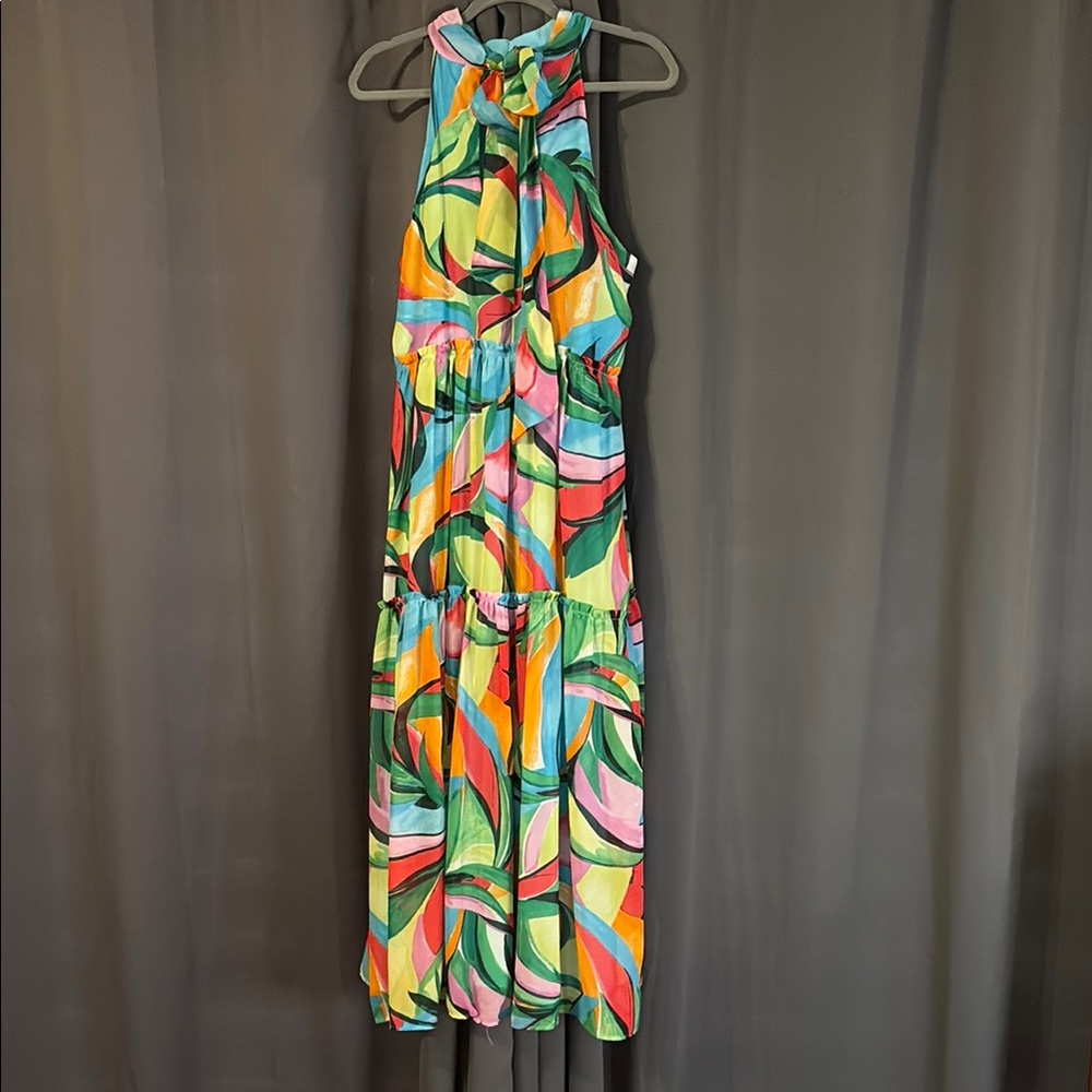 Nicole Miller Multicolor Maxi Dress